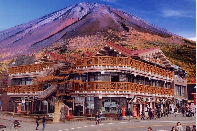 Mt Fuji & Five-Story Pagoda & Honcho Street & Oishi Park Day Tour - Transportation and Additional Information