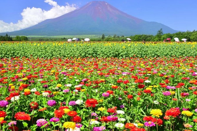 Mt. Fuji Flower Festival Tour With Ropeway Experience From Tokyo - Additional Information for Participants