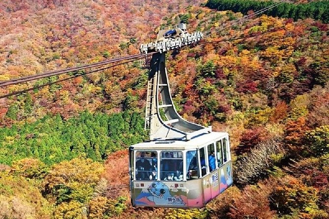 Mt Fuji, Hakone Lake Ashi Cruise Bullet Train Day Trip From Tokyo - Additional Information