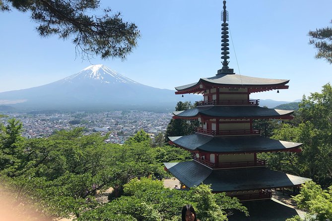 Mt.Fuji & Hakone Tour, From/To Tokyo, Yokohama, Odawara, up to 12 - Reviews and Testimonials