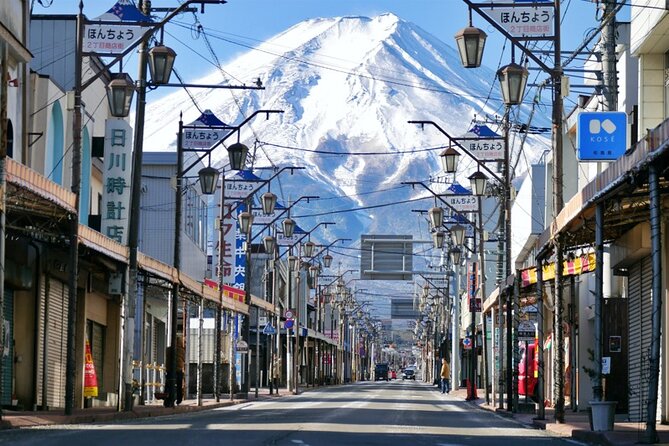 Mt Fuji Kawaguchi/Hakone/Yokohama Tokyo Customize Private Car - Special Offers