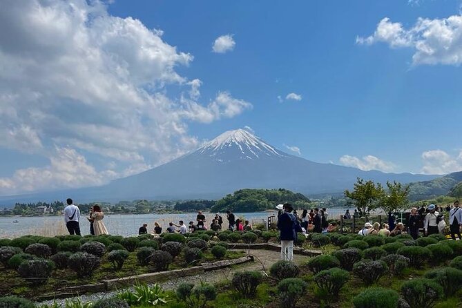 Mt Fuji Private Day Tour With English Speaking Driver - Reviews