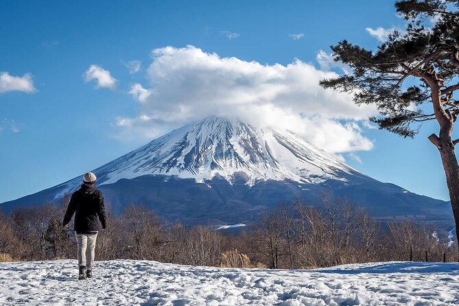 Mt Fuji Private Trip With English Speaking Driver - Cancellation Policy