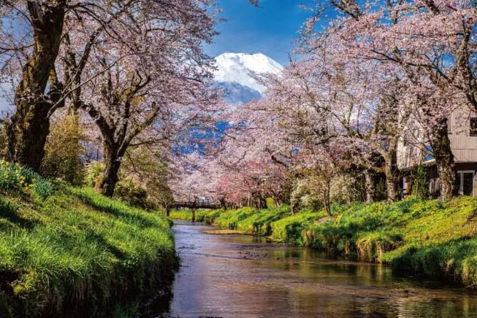 Mt. Fuji Roundtrip Tours From Shinjuku, Japan - Booking and Pricing Details