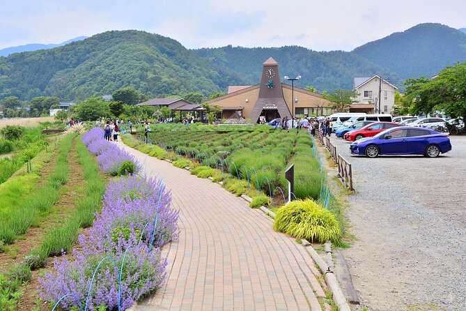 Mt.Fuji Tour: 3-Parks & The Healing Village in Fujiyoshida, Japan - Lunch Options