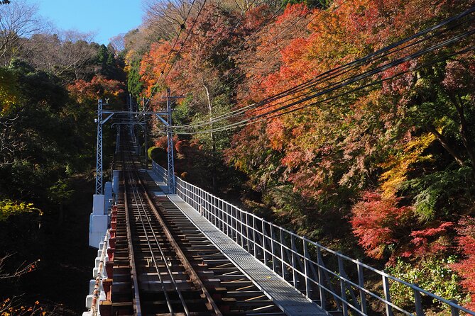 Mt.TAKAO Trekking 1 Day Tour - Local Cuisine Experience