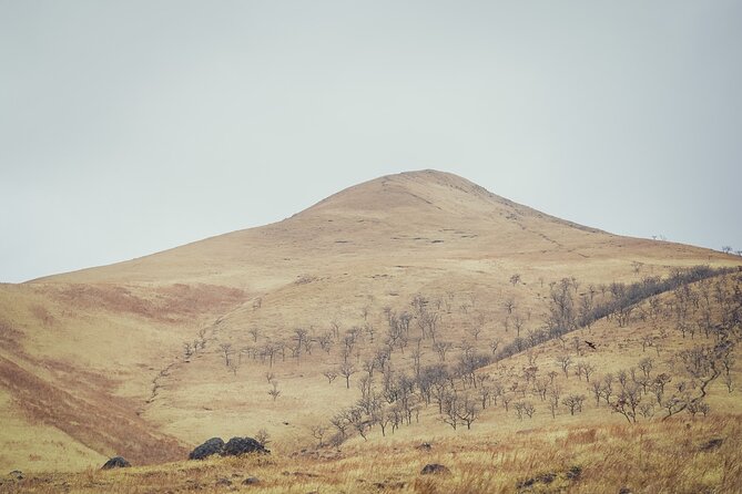 Mt. Yufu Grassland Private Hiking and Lunch - Additional Info