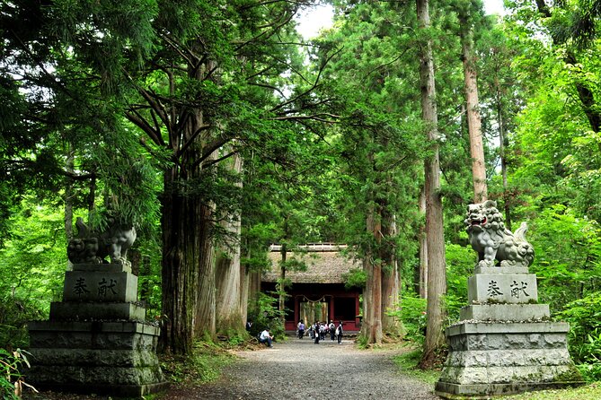 Nagano All Must-Sees Half Day Private Tour With Government-Licensed Guide - Additional Information