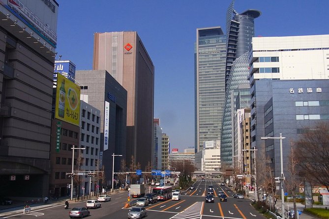 Nagoya Half Day Tour With a Local: 100% Personalized & Private - Accessibility and Logistics