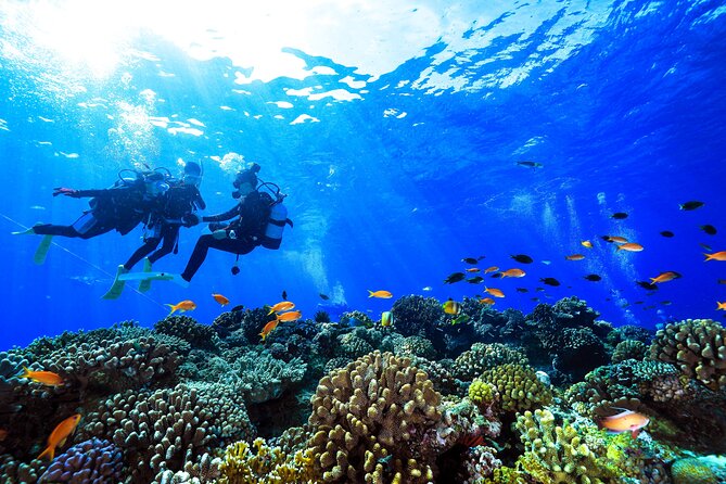 Naha: Full-Day Introductory Diving & Snorkeling in the Kerama Islands, Okinawa - Meeting Point