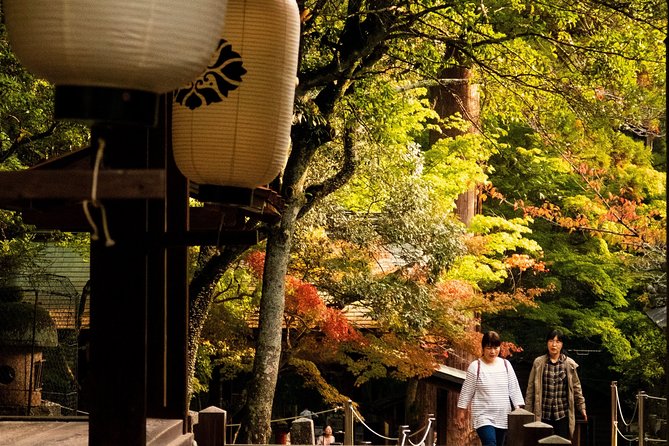 Nara Custom Half Day Tour - Pricing Details