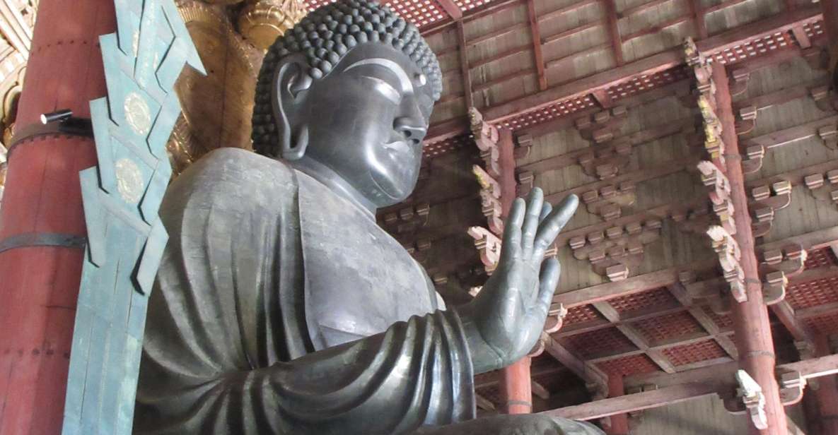 Nara: Giant Buddha, Free Deer in the Park (Italian Guide) - Customer Reviews