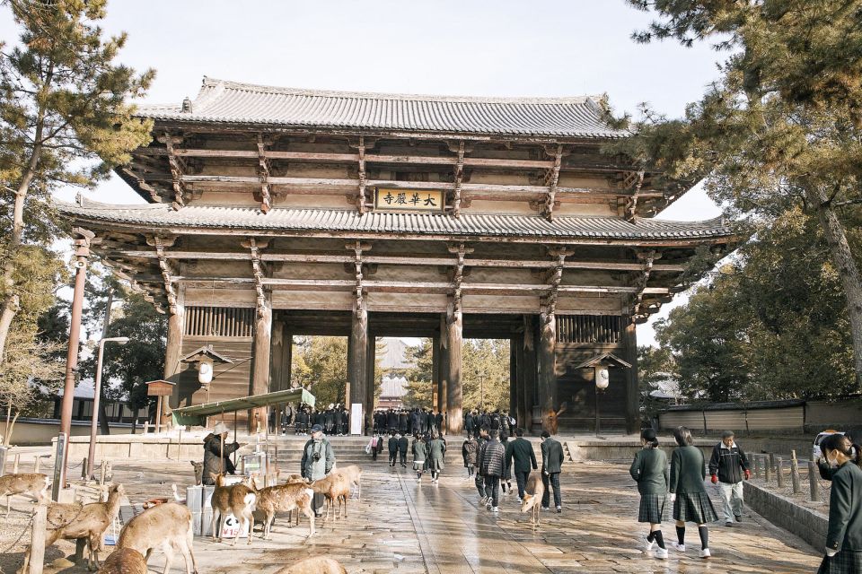 Nara Like a Local: Customized Guided Tour - Customer Reviews