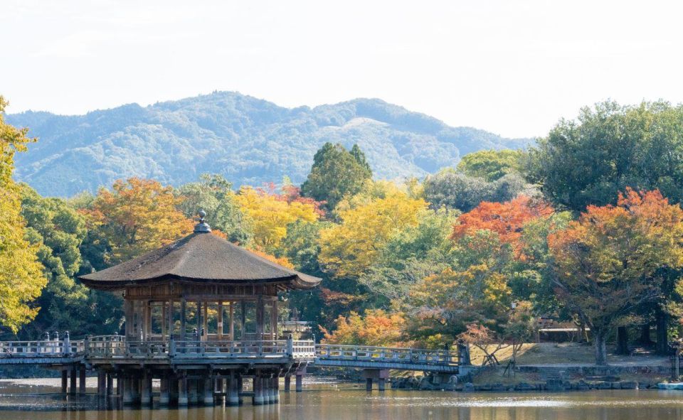 Nara: Private City Tour With A Local Guide - Directions