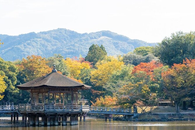 Nara : Private Day Walking Tour (From Osaka/Kyoto Possible) - Price and Availability