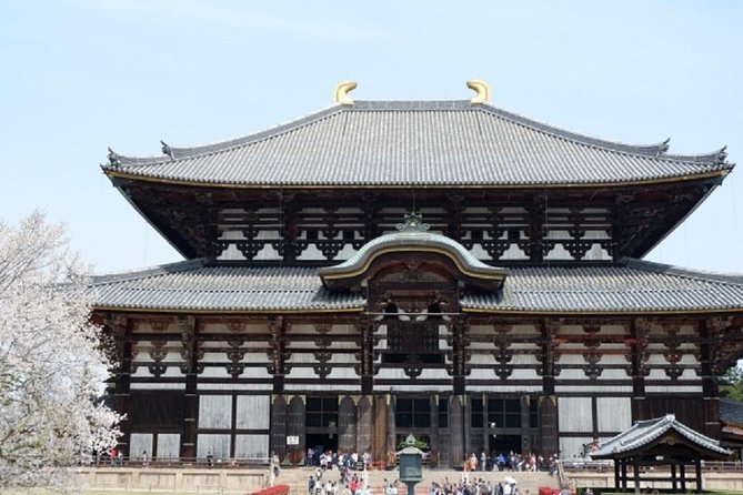 Nara Private Tour by Public Transportation From Kyoto - Cancellation Policy