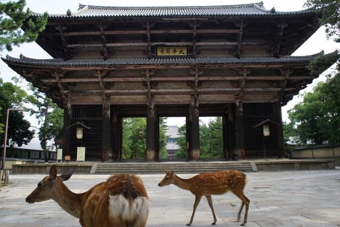 Nara Private Tour by Public Transportation From Osaka - Practical Information