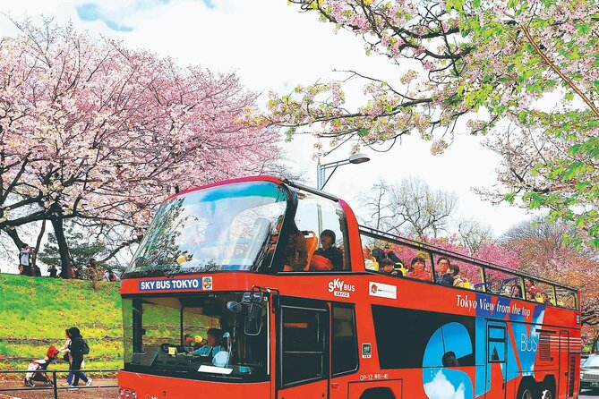 Night Cherry Blossom Bustour With Nihonbashi Shop Discount Ticket - Booking Information