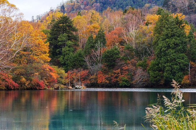 Nikko Custom Full Day Tour - Tour Execution