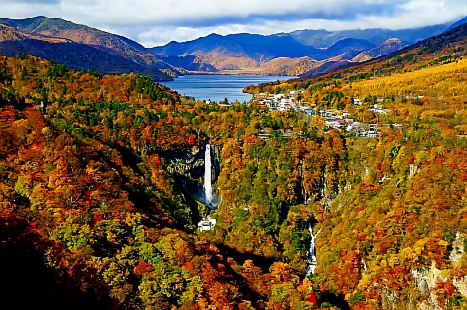 Nikko Full-Day Private Sightseeing Day Trip - Customer Reviews