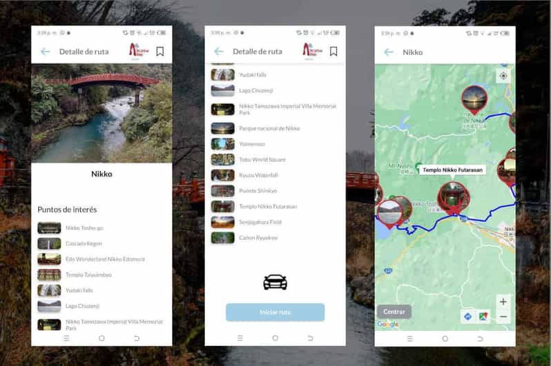 Nikko Self-Guided Tour App With Multi-Language Audioguide - Accessibility and Important Information