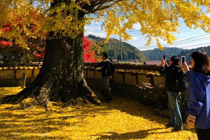 Oasa Country Cycling (Easy Access From Hiroshima 1 Hr Scenic Bus) - Directions