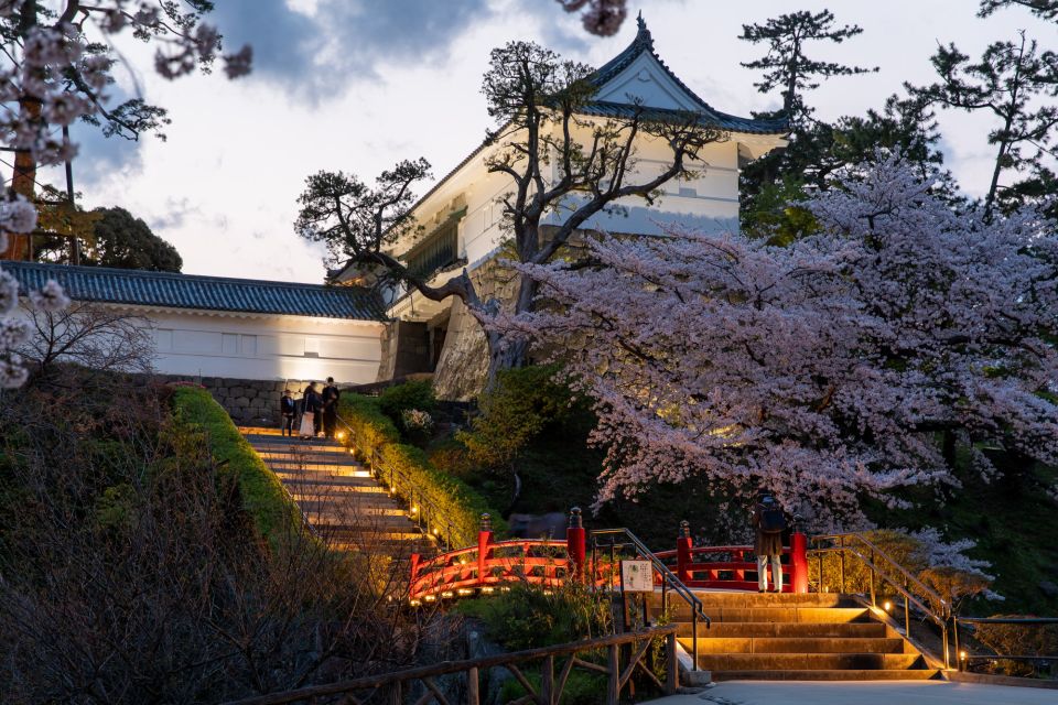 Odawara: Odawara Castle and Town Guided Discovery Tour - Reviews