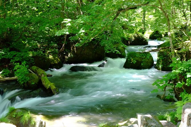 Oirase Gorge and Lake Towada Day Hike With Government-Licensed Guide - Pricing and Reservation Details