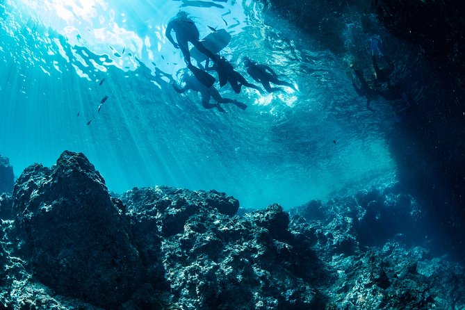 [Okinawa Blue Cave] Snorkeling and Easy Boat Holding! Private System Very Satisfied With the Beautiful Facilities of the Shop (With Photo and Video Shooting Service) - Pricing, Booking, and Guarantee