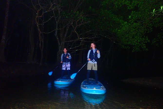 [Okinawa Iriomote] Night SUP/Canoe Tour in Iriomote Island - Pricing and Reviews