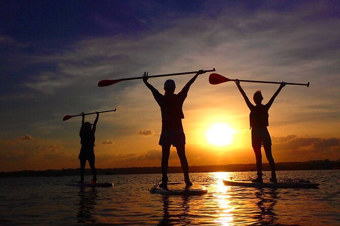 [Okinawa Iriomote] Sunset SUP/Canoe Tour in Iriomote Island - Reviews and Rating Breakdown