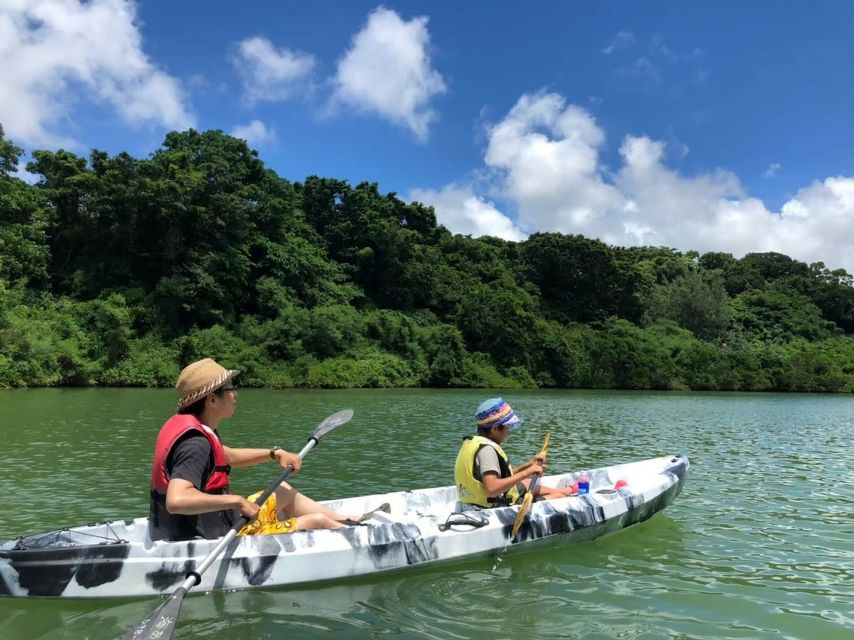 Okinawa: Mangrove Kayaking Tour - Mangrove Exploration