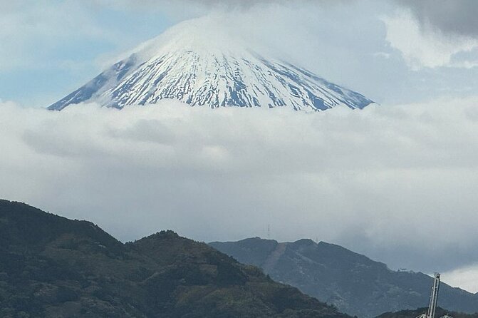 One Day Private Tour Around Shimizu Port for Cruise Passengers - Additional Tour Information