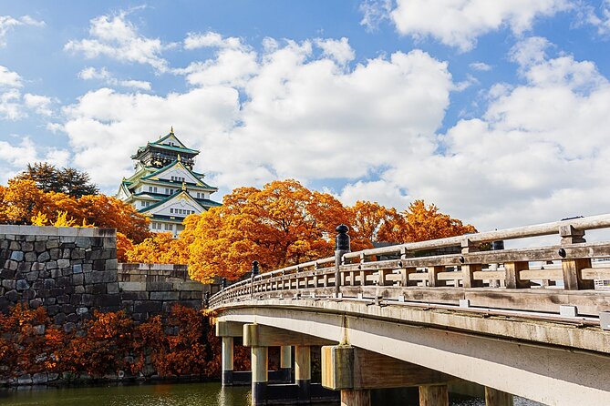 Osaka 6 Hr Private Tour: English Speaking Driver Only, No Guide - Pricing Details