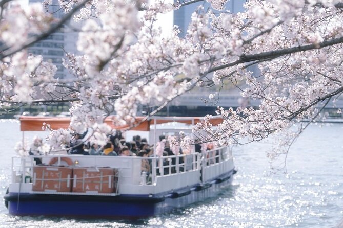 Osaka Cherry Blossom Tour With a Local: 100% Personalized Private - Reviews and Testimonials