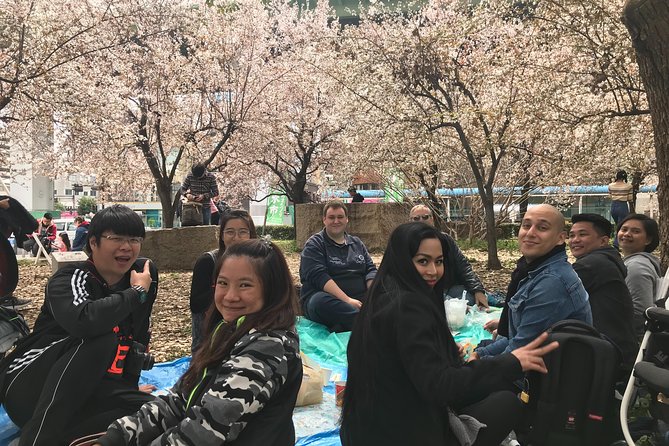 Osaka Cherry Blossom Walk With Local - Additional Notes