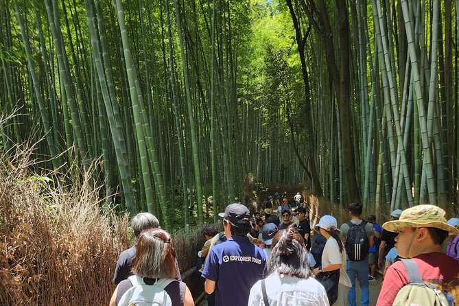 Osaka Dep, Arashiyama Ninnaji and Golden Pavilion Full Day Tour - Tour Logistics