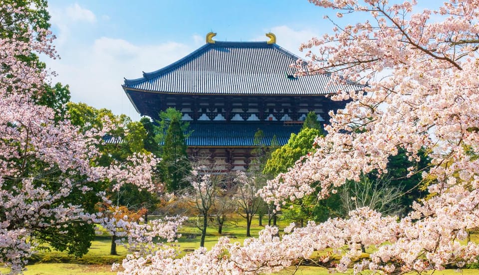 Osaka: Nara, Todaiji, Matcha Experience and Hot Spring Tour - Important Reminders