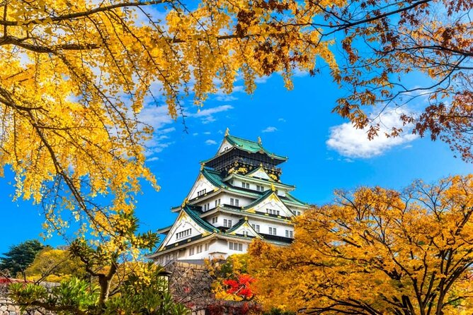 Osaka Private Customize Tour - Cancellation Policy