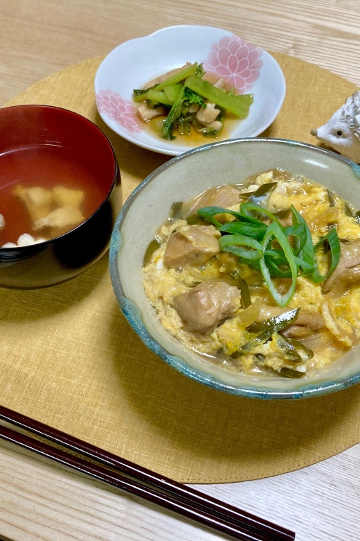 Osaka:Make Naturally Fermented Oyakodon(Chicken&EggRiceDish) - Itinerary and Accessibility