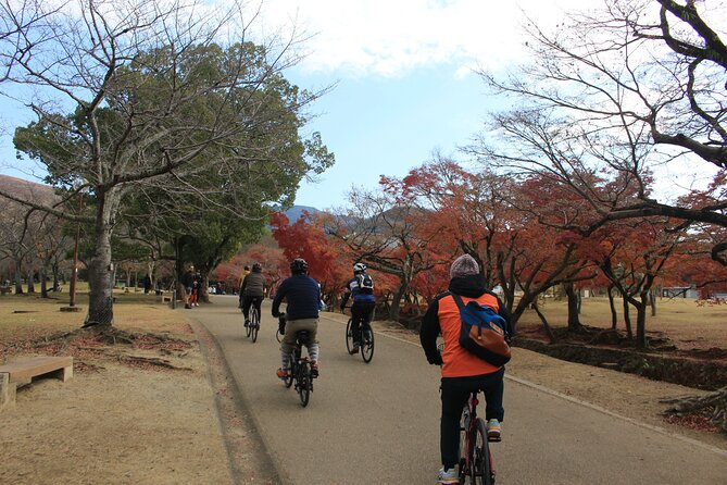 Private Bike Tour in Nara With Japanese Guide - Directions and Participant Requirements