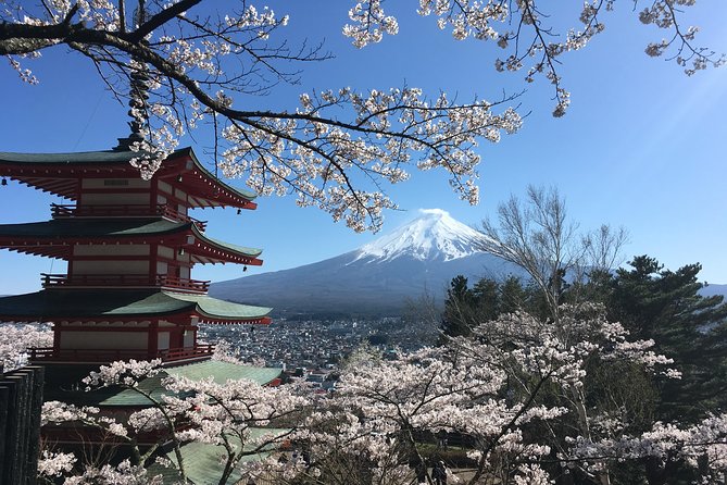 Private Car Mt Fuji and Gotemba Outlet in One Day From Tokyo - Booking and Cancellation Details