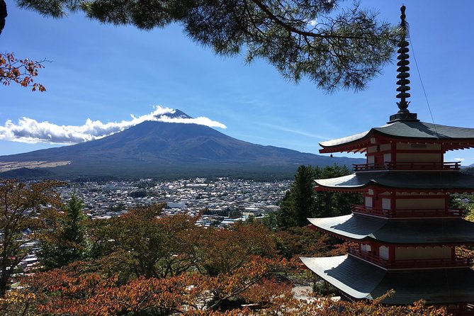 Private Car Tour to Mt. Fuji Lake Kawaguchiko or Hakone Lake Ashi - Customer Reviews