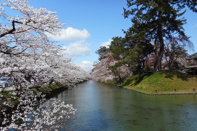 Private Cherry Blossom Tour in Hirosaki With a Local Guide - Price and Reviews