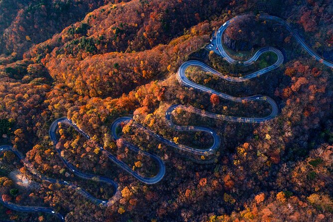 Private Day Tour From Tokyo: Nikko UNESCO Shrines & Nature Walk - Important Notes