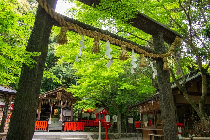 Private Day Tour - Kyoto Arashiyama & Bamboo Forest Perfect Tour! - Customer Reviews