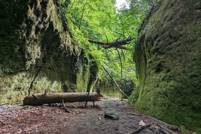 Private Day Trip of Lake Shikotsu and Moss Canyon - Reviews and Testimonials