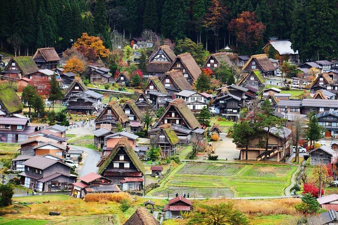 Private Full-Day Tour to Takayama and Shirakawa From Nagoya - Additional Info