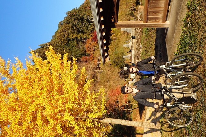 Private-group Morning Cycling Tour in Hida-Furukawa - Guide Expertise