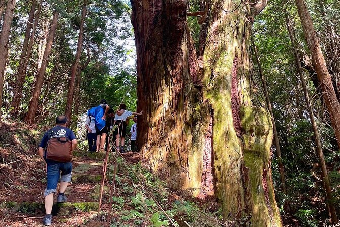 Private Guided Rural E Bike Mini Tour in Aso Minamioguni - Recap